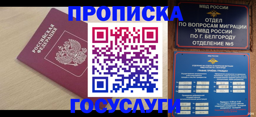 прописка законно в Обояни